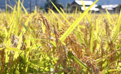 繰り返すことの大切さ