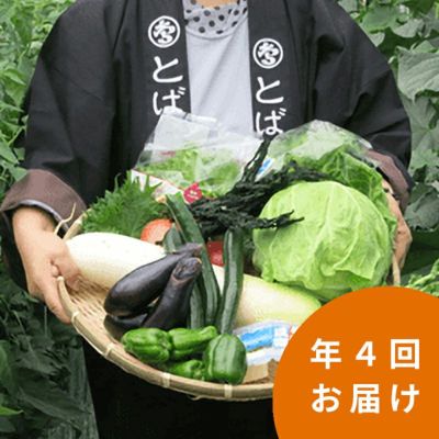 年間頒布（4回） 新鮮野菜の旬の味セット